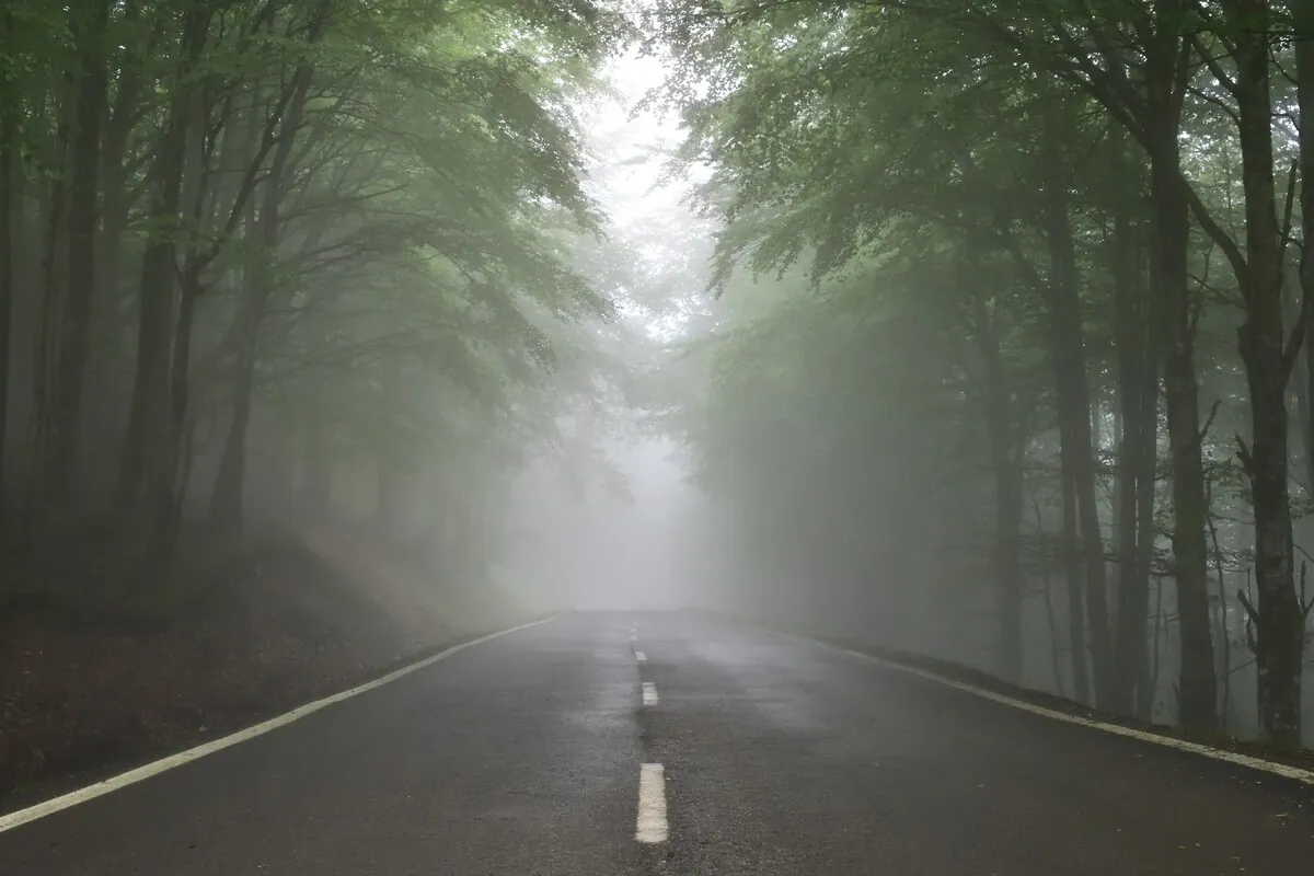 Foggy road through a forest, symbolizing the wrong path and uncertainty